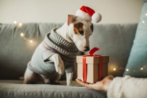 <strong>Presentes de Natal para os Pets</strong>